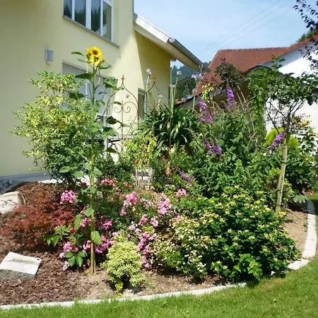 In The Rose Garden