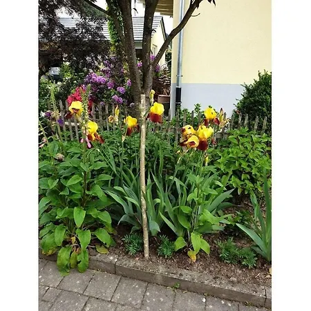 In The Rose Garden 公寓 比伯拉赫